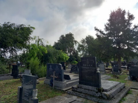 1690019997875_resize