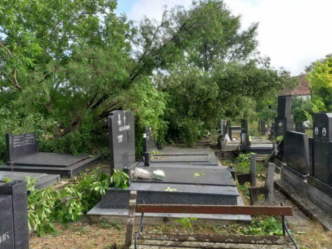 1690019997920_resize