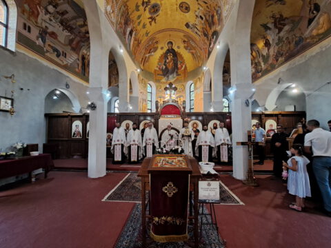 20230706_185548_resize