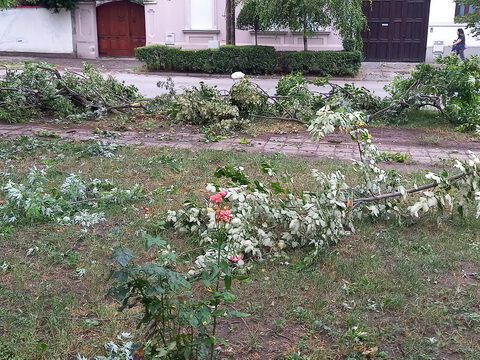 20230722_065002_resize