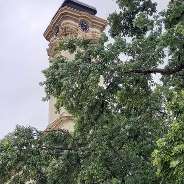 20230722_073233_resize