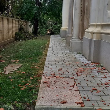 20230722_074730_resize