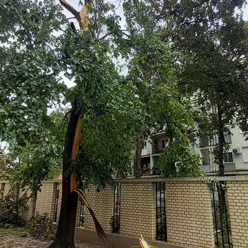 20230722_074813_resize