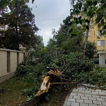 20230722_074839_resize