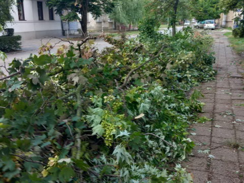 20230724_111740 (1)_resize