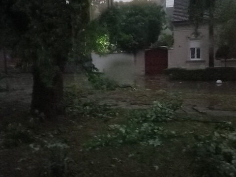 20230724_111821_resize