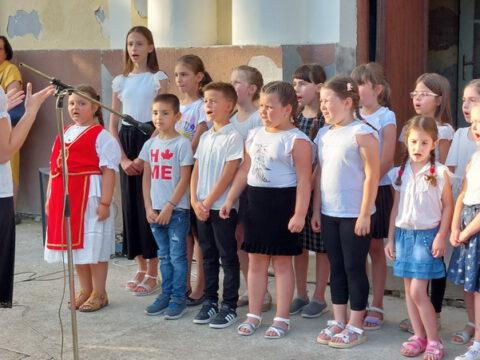 IMG-13474c353ebaec4d4148bcd34d6e9ea5-V_resize