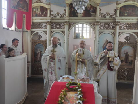 IMG-5a8edeb08256da7adfa0cf18dd9de9c7-V_resize