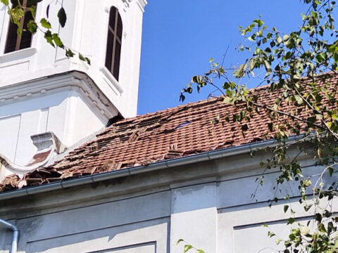 IMG-7a897bf44a14136337e8c3bca2102748-V_resize