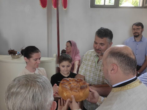 IMG-ea463b20aa9cdc2cd9f39b41bd79a61f-V_resize