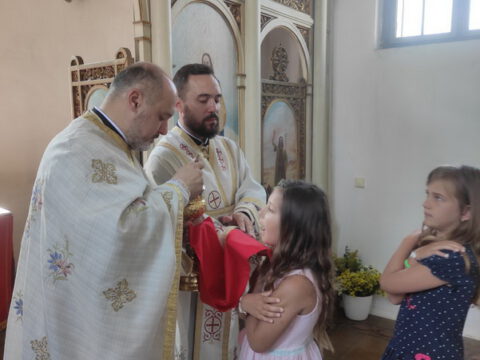 IMG-ee86baf2616ba5943c0168ba02c6e396-V_resize