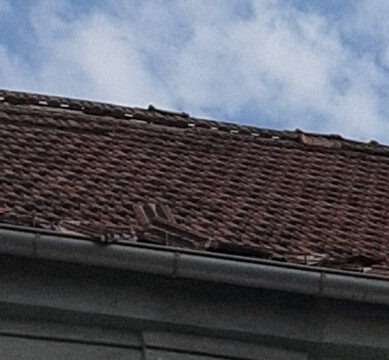 IMG-ffc48959960cfd45542547c3773319b6-V_resize