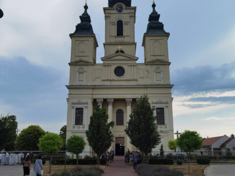 IMG_20230702_082453_resize