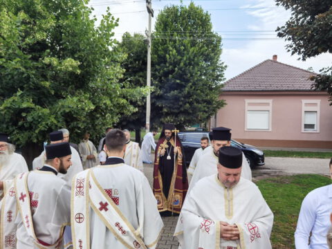 IMG_20230702_083308_resize