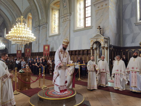 IMG_20230702_085510_resize