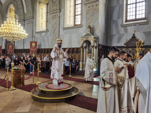 IMG_20230702_085547_resize