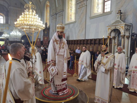 IMG_20230702_090809_resize