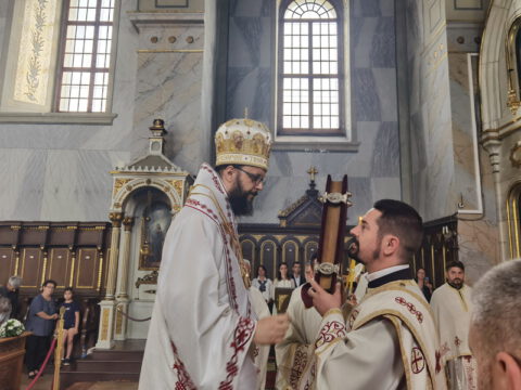 IMG_20230702_090824_resize