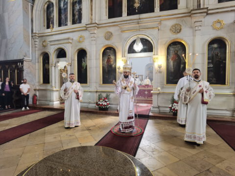 IMG_20230702_091150_resize