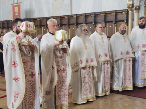 IMG_20230702_095919_resize