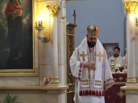 IMG_20230702_101626_resize