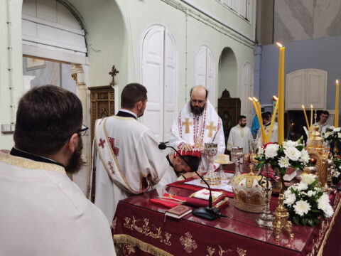 IMG_20230702_102046_resize