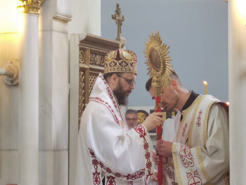 IMG_20230702_102804_resize