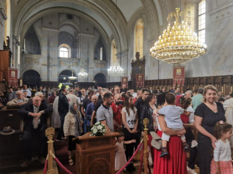 IMG_20230702_104601_resize