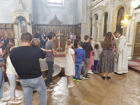 IMG_20230702_104605_resize