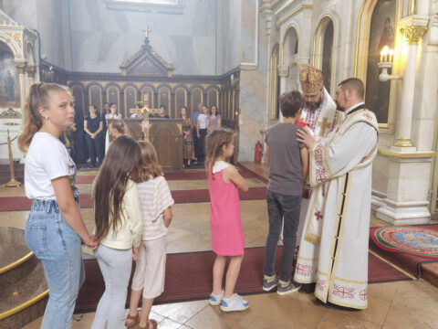 IMG_20230702_104656_resize