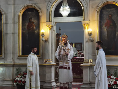 IMG_20230702_105252_resize