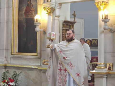 IMG_20230702_105319_resize