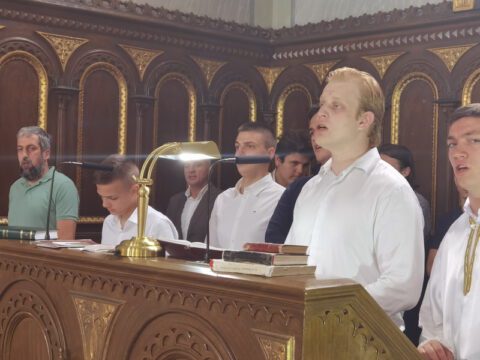 IMG_20230702_105339_resize