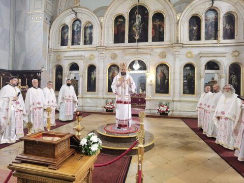 IMG_20230702_105716_resize