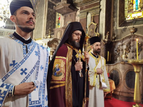 IMG_20230707_083215_resize