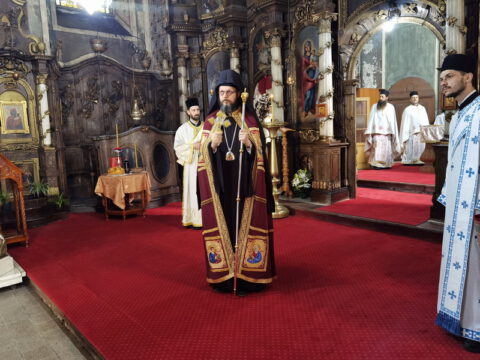 IMG_20230707_083531_resize