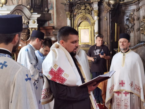 IMG_20230707_084554_resize