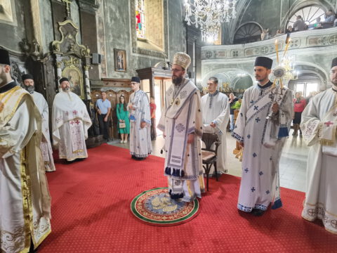 IMG_20230707_085435_resize