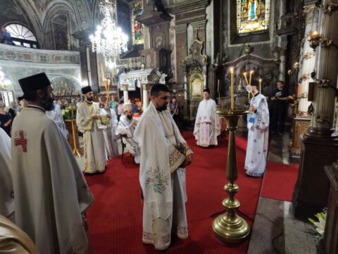 IMG_20230707_085734_resize