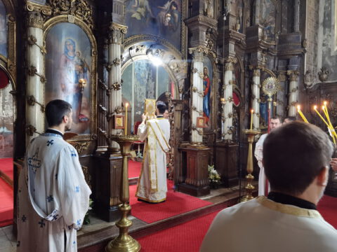 IMG_20230707_090540_resize