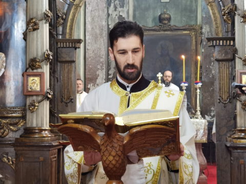 IMG_20230707_092352_resize