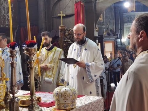 IMG_20230707_094935_resize