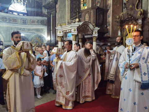 IMG_20230707_100042_resize