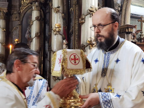 IMG_20230707_100152_resize