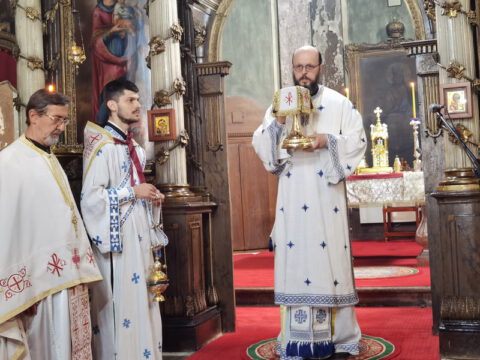 IMG_20230707_100209_resize