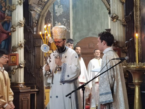 IMG_20230707_101013_resize