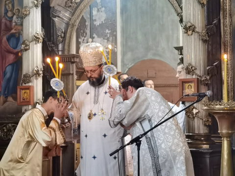 IMG_20230707_101014_resize