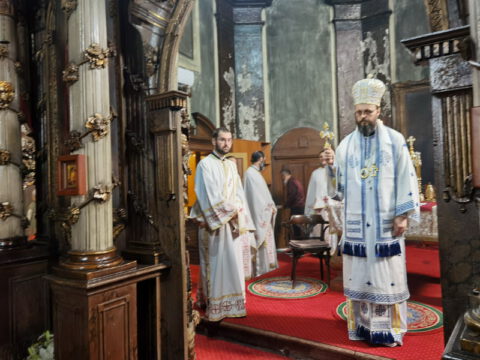 IMG_20230707_102135_resize