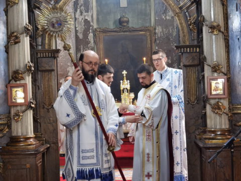 IMG_20230707_103244_resize