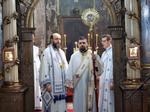 IMG_20230707_103258_resize